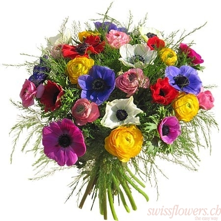 Anemonen & Ranunkeln