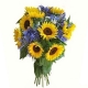 Tournesols Agapanthes