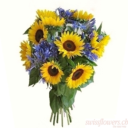 Tournesols Agapanthes